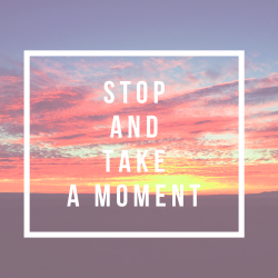 Stop and Take a Moment